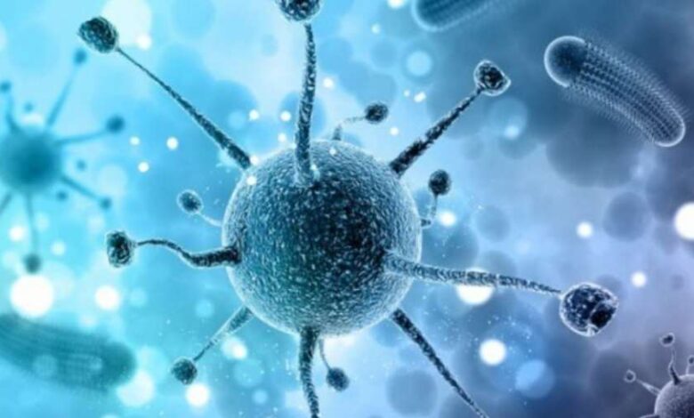 Nipah virus
