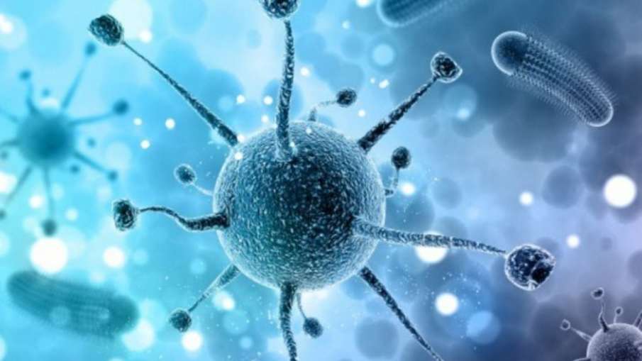 Nipah virus